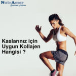 Kas İçin Uygun Kollajen Nedir ?