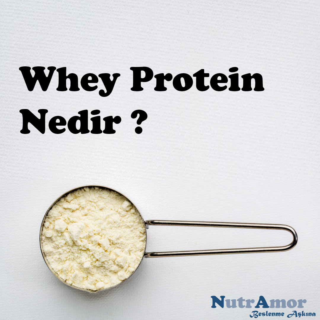 Whey Protein Nedir ?