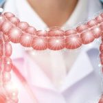 Bromelain'in Sindirim Sistemi Üzerindeki Etkileri